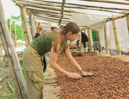 Seeds That Grow: Parent Reflections on Chocolate University
