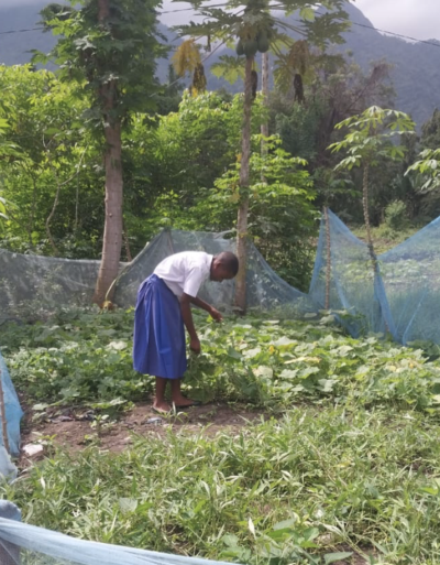 gardening 2