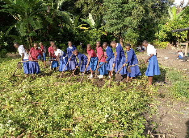 gardening in a row